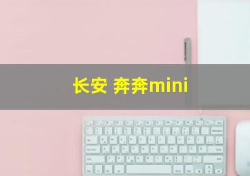 长安 奔奔mini